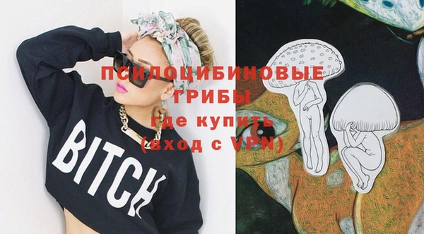 ПСИЛОЦИБИНОВЫЕ ГРИБЫ Чегем