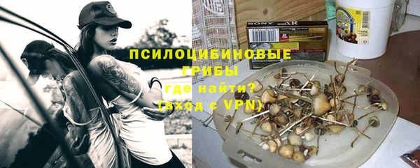 шишки Шарыпово