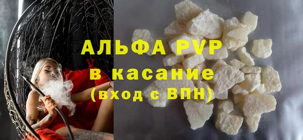 ПСИЛОЦИБИНОВЫЕ ГРИБЫ Чегем