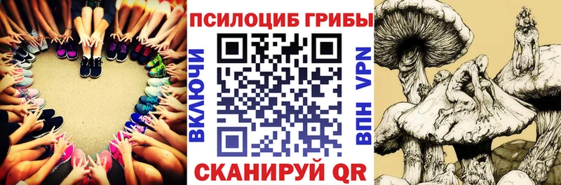 Купить где  Сосновоборск  Галлюциногенные грибы Psilocybe 